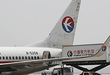 合肥寵物航空托運的防范措施(圖1)