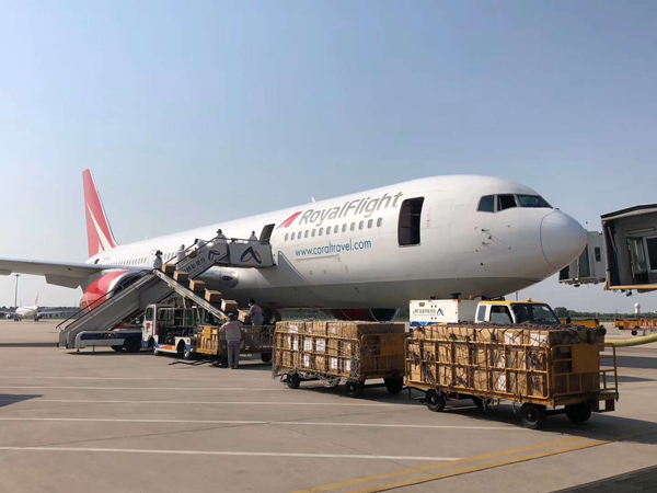 航空貨運單丟失怎么辦(圖1)